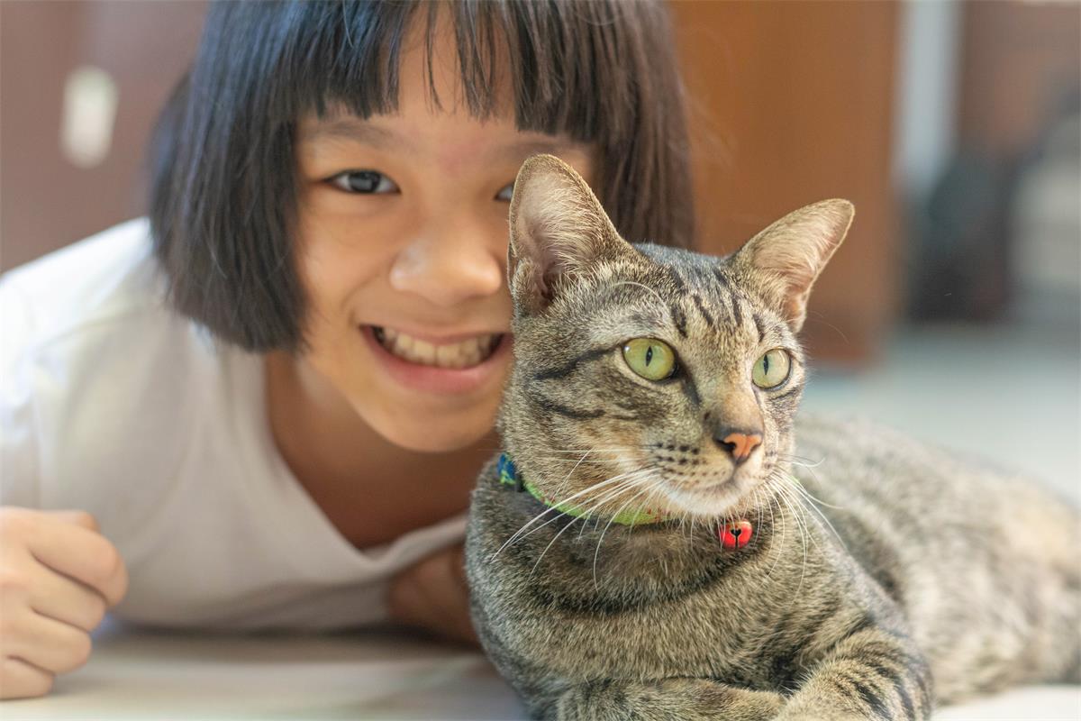 A happy, small ,Asian ,female ,child laying with her cat and showing affection. 